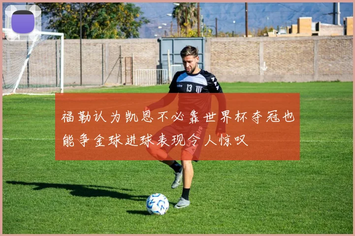 福勒认为凯恩不必靠世界杯夺冠也能争金球进球表现令人惊叹