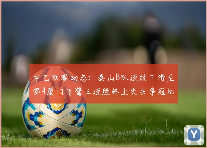 中乙联赛动态：泰山B队连败下滑至第4厦门飞鹭三连胜终止失去争冠机会